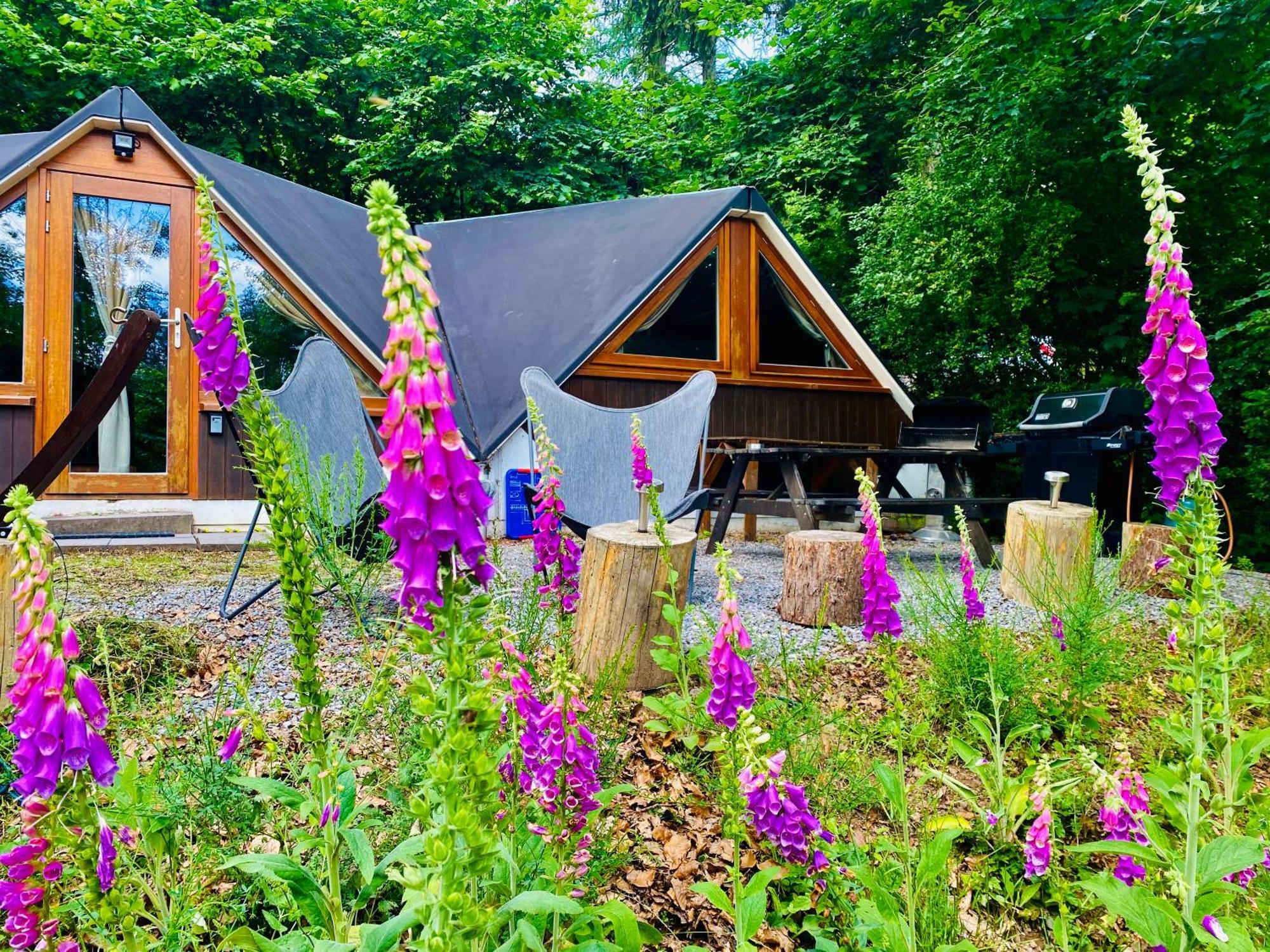 Chalet Tropical Avec Bain A Bulles - In The Woods Gesves Dış mekan fotoğraf